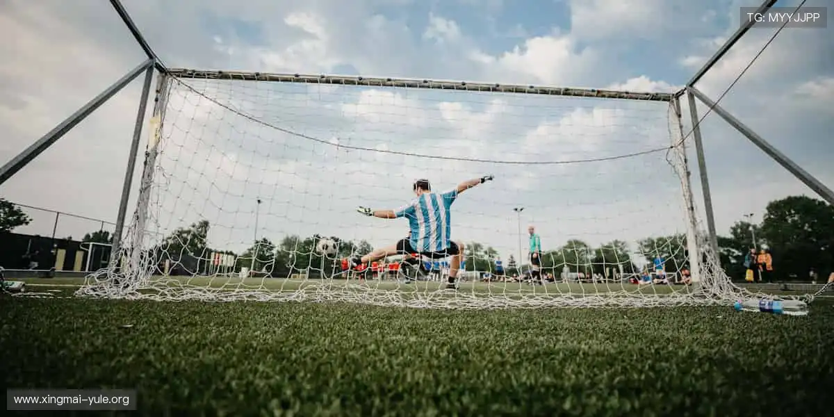 一站式捕鱼电竞平台:海洋竞技高倍率,高清升级中